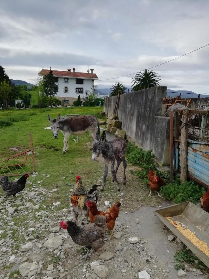 Agroturismo Pagoederraga Orio Luaran gambar